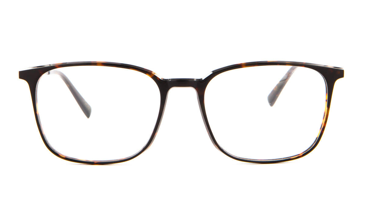 Joshi Brille 7956 col.9 54 Frontansicht